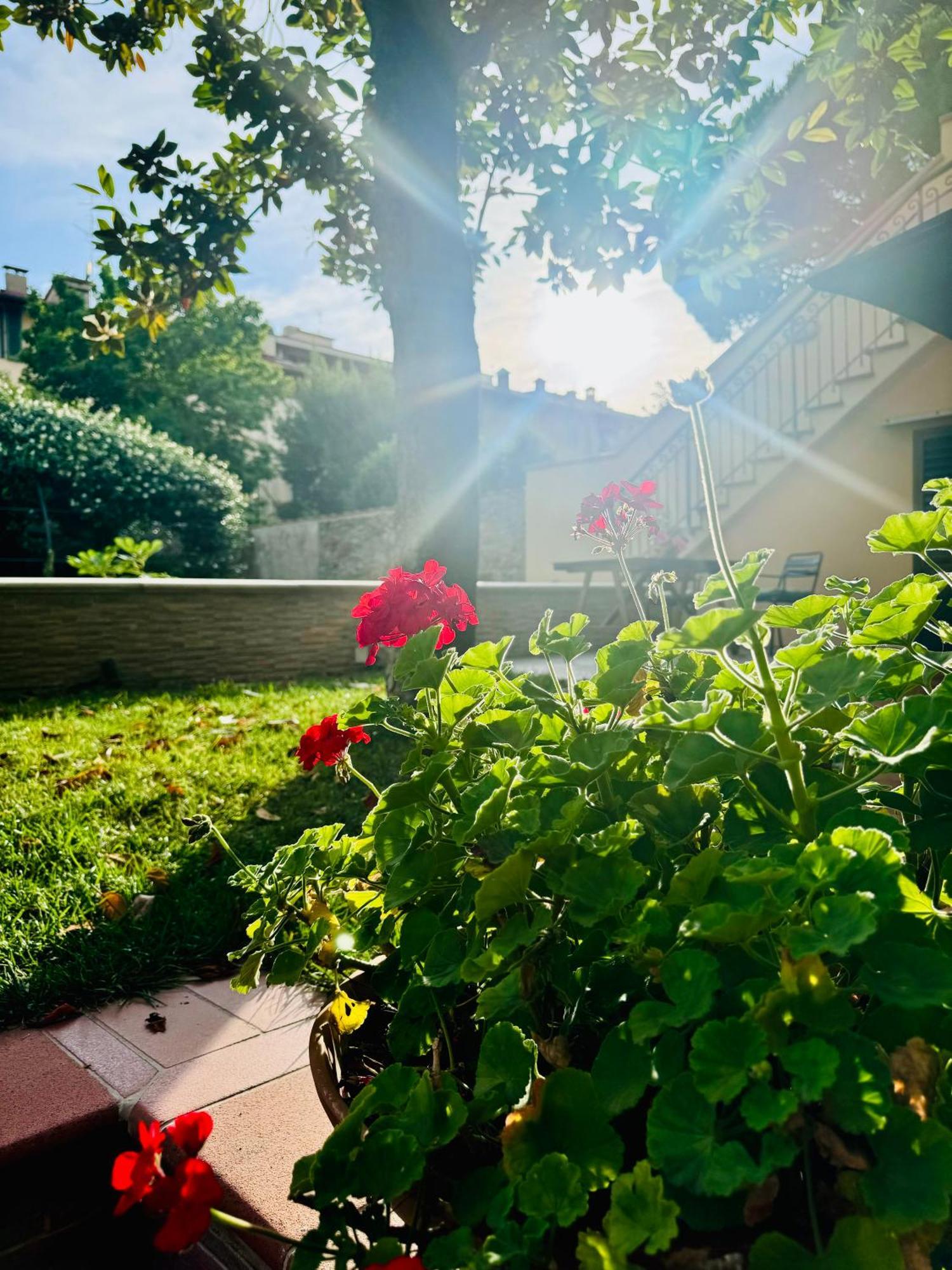 La Casa Di Grace Lägenhet Florens Exteriör bild